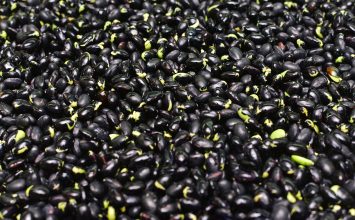 Dibalik Rasa Gurih Sayur Gude Kelapa