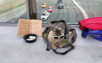 Tips Anti Bokek di Akhir Bulan yang Wajib Kamu Lakukan!