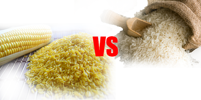 beras analog vs-beras-padi
