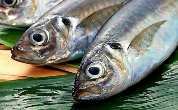 Mau Makin Sehat dan Hits? Ayo Makan Ikan Ini!