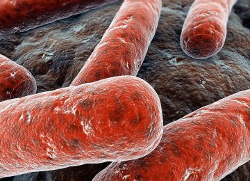 6 Hal tentang TB alias Tuberkulosis yang Wajib Kau Pahami