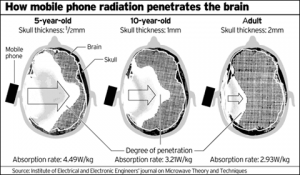 Cell Radiation