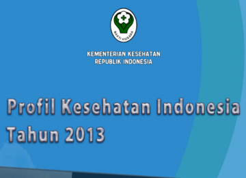 Download Profil Kesehatan Indonesia 2013