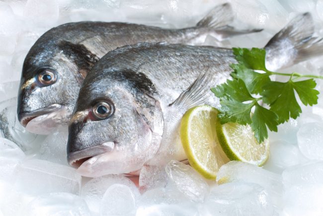 Suka Makan Ikan Yuk Pelajari Cara Menyimpan Ikan Yang Benar Di Sini Linisehat Com