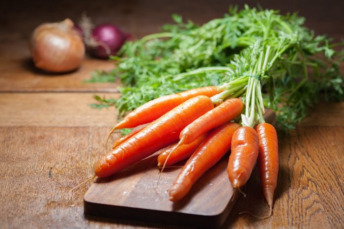 berkebun bahan makanan