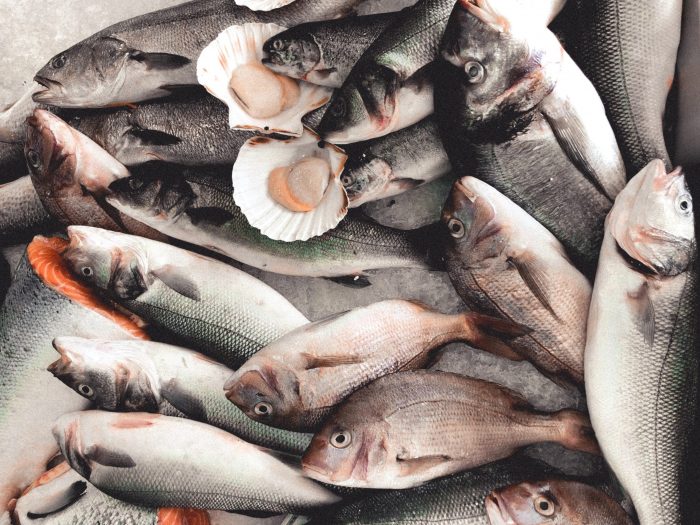 harga ikan penentu kondisi para nelayan