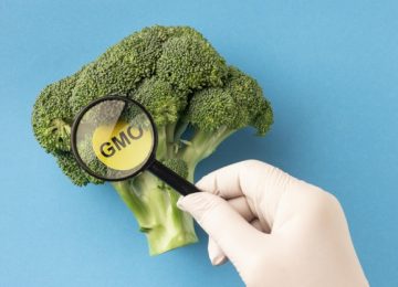 Pro dan Kontra Produk GMO, Kamu Tim yang Mana?