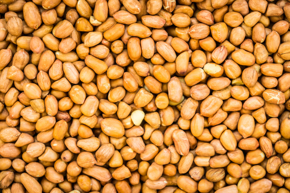 aflatoksin pada kacang
