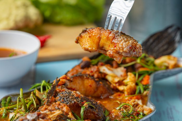 manfaat menginsumsi ikan gabus