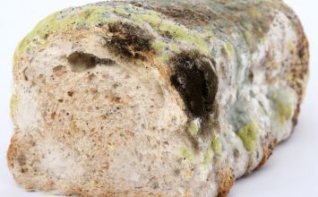 Bolehkah Konsumsi Roti Berjamur?
