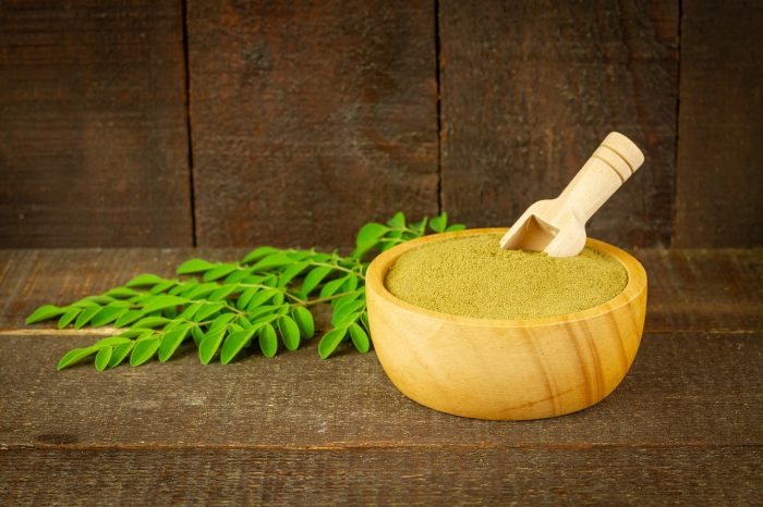 manfaat daun kelor, superfood