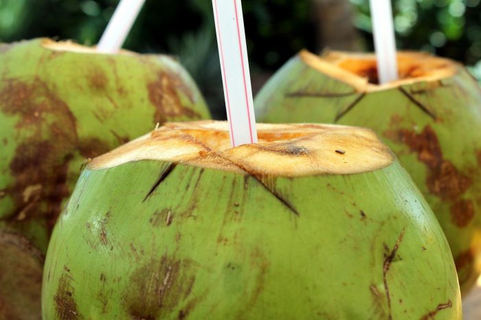 manfaat mengonsumsi air kelapa hijau