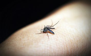 Waspada Malaria, Cegah dengan “ABC”