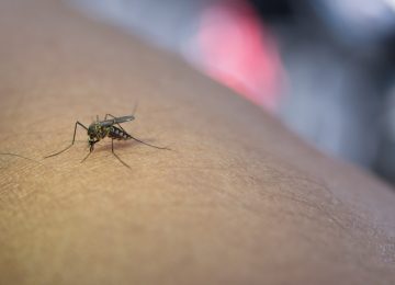 Mosquirix, Vaksin Malaria Pertama di Dunia