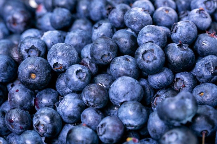 blueberry sebagai superfruit