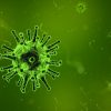 apakah perlu waspada virus Hendra?