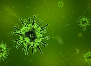 Masyarakat Perlu Waspada dengan Virus Hendra?