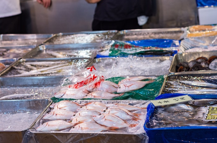 ciaguatoxin pada ikan karang