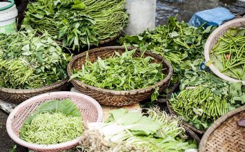 Mengenal Efek Sedatif Kangkung