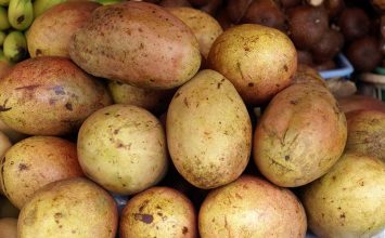 Buah Lokal Ini Jadi Nama Daerah di Jakarta, loh!