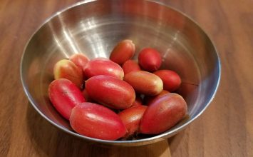 Miracle Fruit, Buah Ajaib Kaya Manfaat