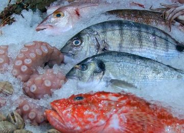 Konsentrat Protein Ikan, Kaya Bioaktif dan Antioksidan