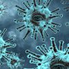ancaman virus covid-19 saat mudik