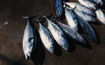 Tips Memilih dan Mengolah Ikan Tuna