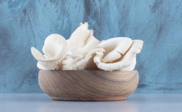 Serba-serbi Manfaat dan Olahan Jamur Tiram