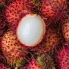 kandungan gizi buah rambutan