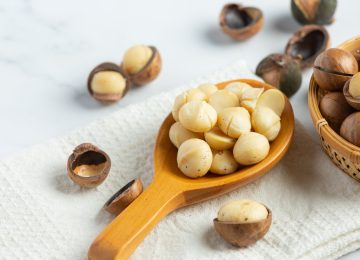 Mengenal Kacang Macadamia, Kacang Termahal di Dunia